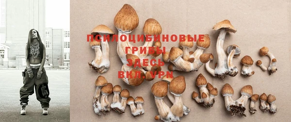 ГАЛЛЮЦИНОГЕННЫЕ ГРИБЫ Новокубанск
